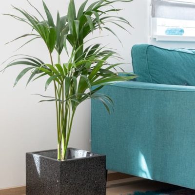 Lihvbetoonis viimistlusega betoonvaas interjööris.