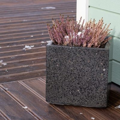 Mustast lihvitud betoonist betoonvaas terrassil, sees lumega kaetud kanarbik.