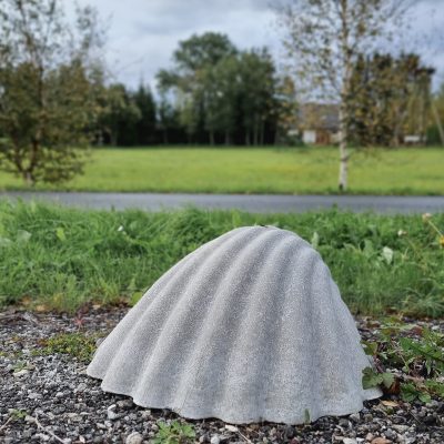 12.23 merikarp-10
