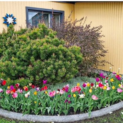 19.11 äärekivi väliskaar