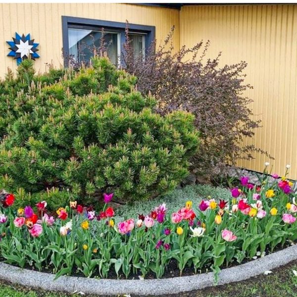 19.11 äärekivi väliskaar