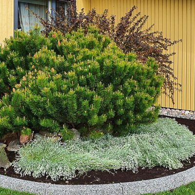 19.11 äärekivi väliskaar